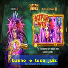 banho e tosa juiz de fora